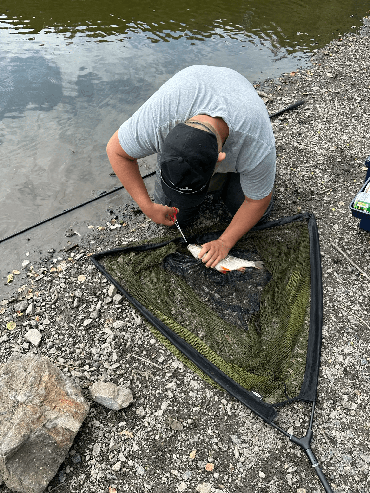 Carefully unhooking his catch.